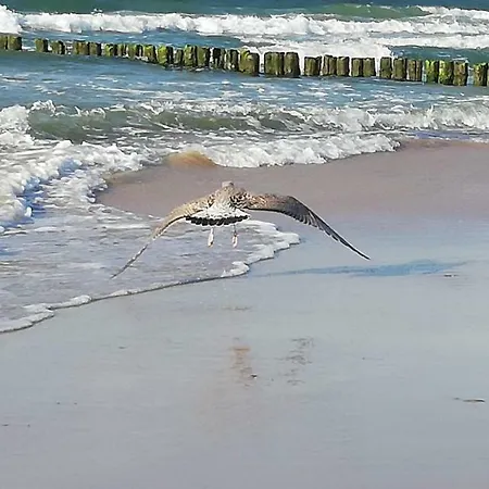 Sloneczny Lejlighed Kołobrzeg