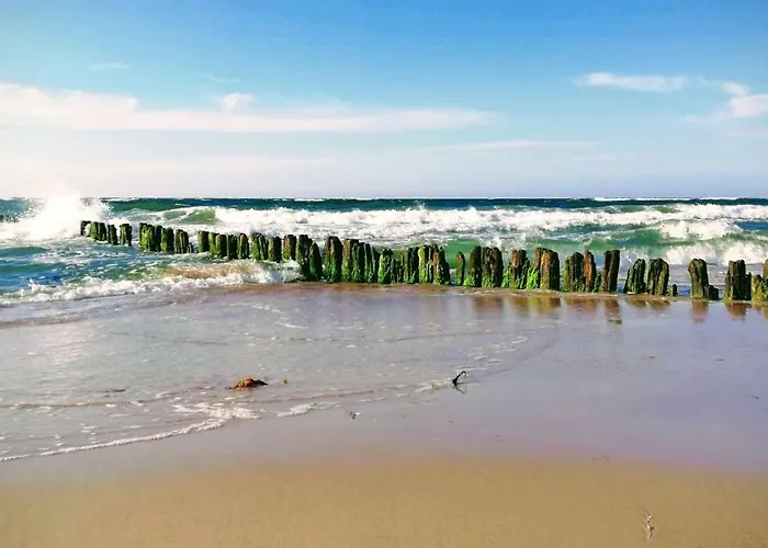 Sloneczny * 코워브제크