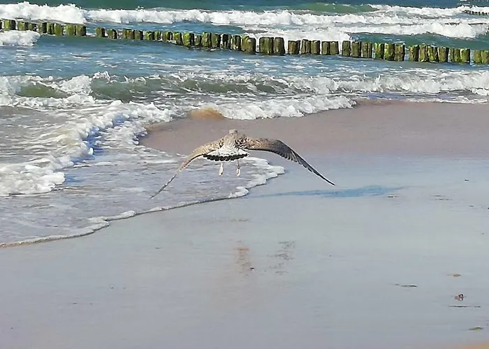 Sloneczny Lägenhet Kołobrzeg